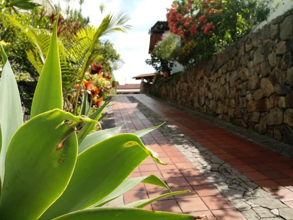 Hotel Alamo Internacional Сан-Сальвадор Екстер'єр фото
